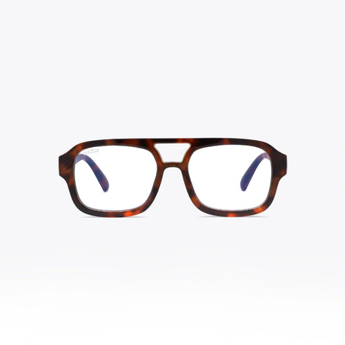 VENCE TORTOISE / CLAIR