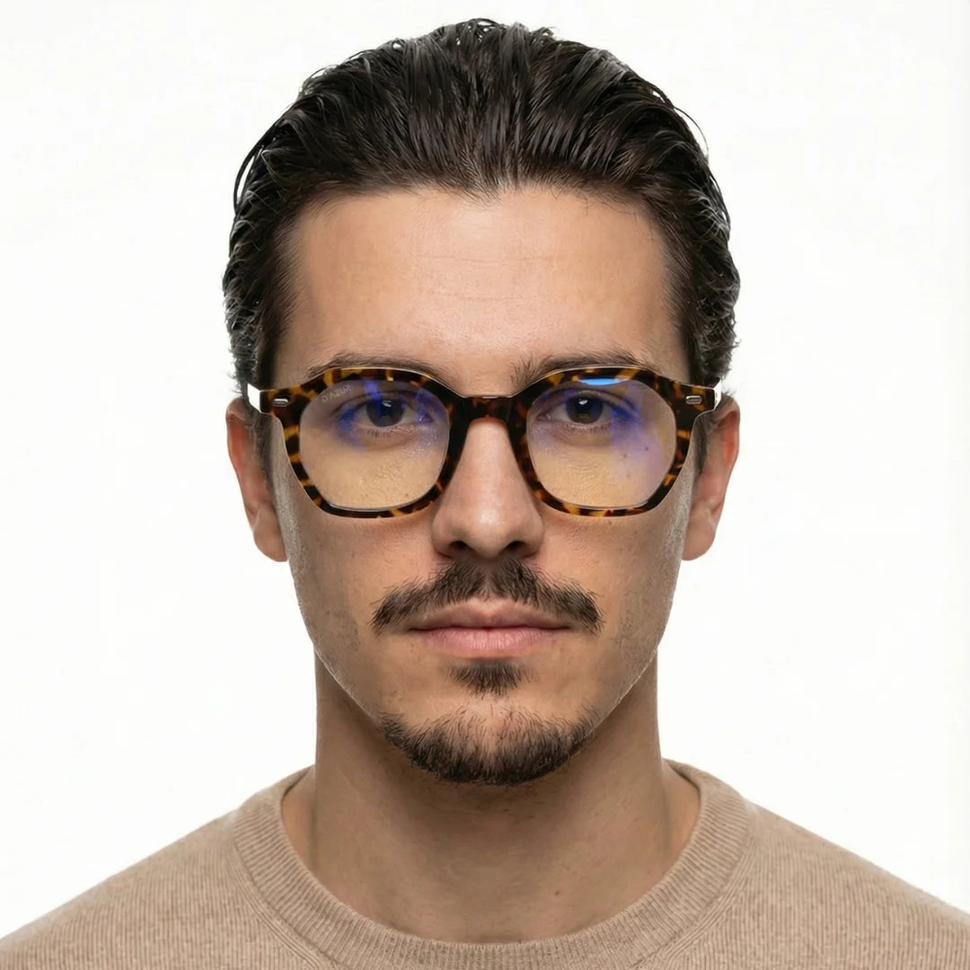 TOULON TORTOISE / CLAIR