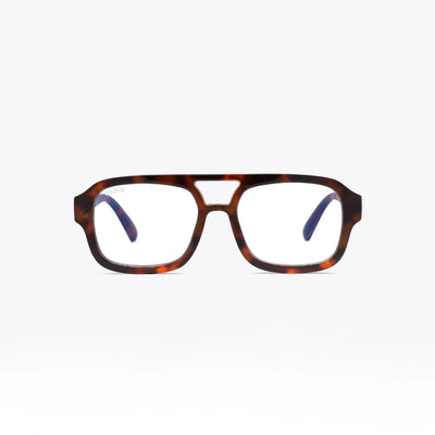 VENCE TORTOISE / CLAIR